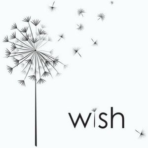 Meet your Posher, Sandy